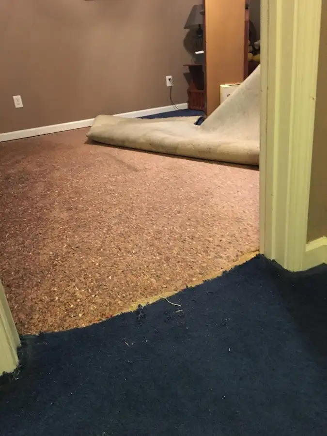 Carpet pad removal revealing water damage during Water Mitigation Services in Burr Ridge
