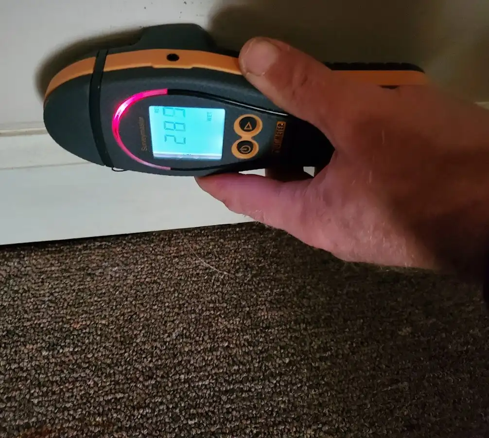 Moisture detection at baseboard during Mold Inspection & Testing in Burr Ridge